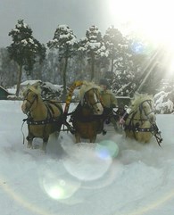 Кареты и сани Михаила Казенкина - Спортивные комплексы и объекты