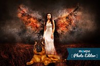 Кинологический центр в Челябинске - Собаководство