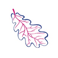 Гиппократ - Косметология