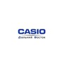 "CASIO" Дальний Восток - Музыкальное искусство