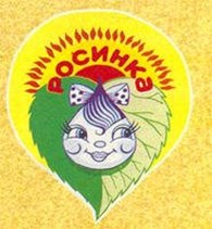 "Реабилитационный центр для детей и подростков с ограниченными возможностями "Росинка" - Лечебно-оздоровительный туризм