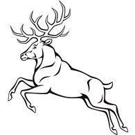 "Биоэнергия-ОС" - Фармацевтическая продукция