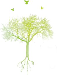 НА - ОЗЕРО.РУ - Интернет-ресурсы и сервисы