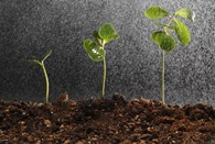 Компания "Минагро" - Строительная техника и оборудование