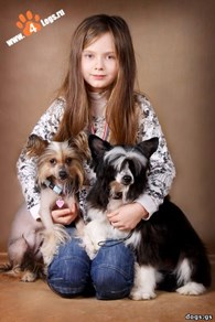 "Рус Форева" - Зооуслуги