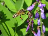 Реагент - ГСМ - Нефтепродукты в Уфе