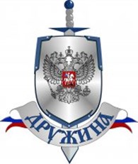 Дружина - Экспертные услуги