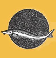 «Волгореченскрыбхоз» - Аквакультура