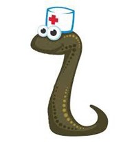 Оздоровительный кабинет "Афродита" - Лечебно-оздоровительные услуги