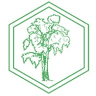 Березка - Турбазы и базы отдыха