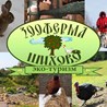 Агротуристический комплекс «Зоофрема Шихово» - Внутренний туризм