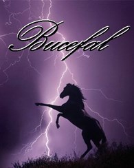 TATTOO BUCEFAL - Тату и пирсинг