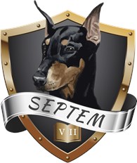 Детективное Агентство  "Septem7" - Детективные услуги