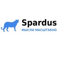 Spardus - SEO и трафик